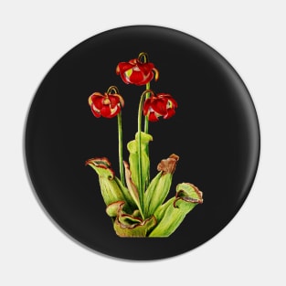 Purple Pitcherplant - Sarracenia Purpurea- Walcott - Botanical Illustration Pin