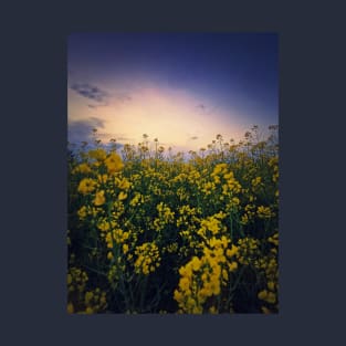 rapeseed in sunset light T-Shirt