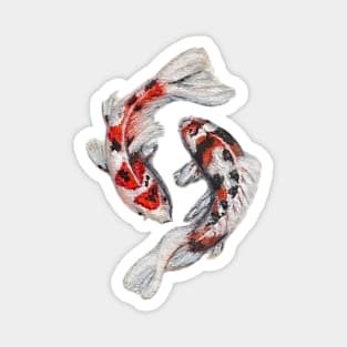 Koi Fish Magnet