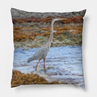 Heron Pillow