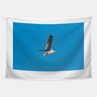 Hovering Larus Californicus 4 Tapestry