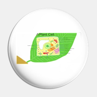 A plant cell. Pin