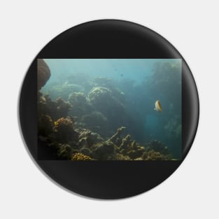 Underwater View Pin