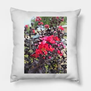 Crepe Myrtle Pillow