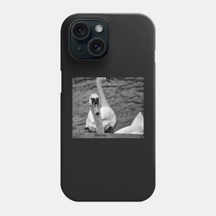 Mute swan portrait Phone Case