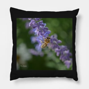 Sage Bee Pillow