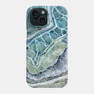 Florida Froth Geode Phone Case