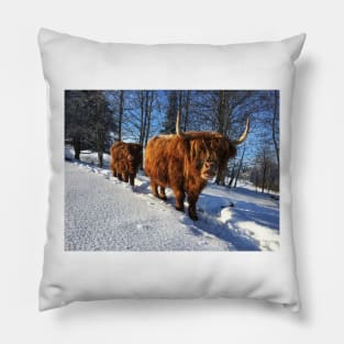 Scottish Highland Cattle Cow and Calf 1688 Pillow