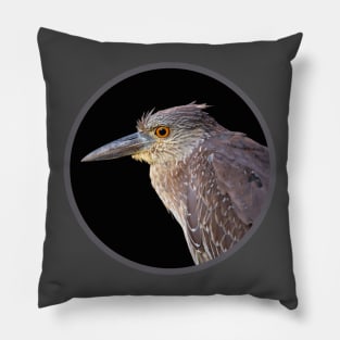 Black-crowned Night Heron Juvenile Pillow