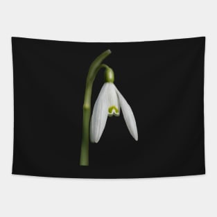 The Snowdrop Tapestry