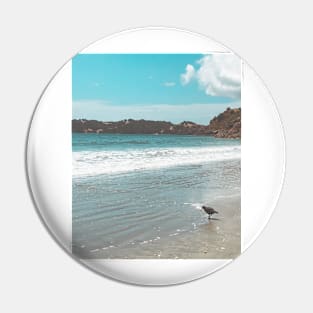 Kiwi on the Beach Pin