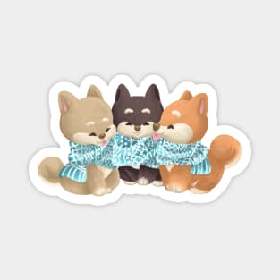 Trio Shiba Dog Sharing a Scarf Magnet