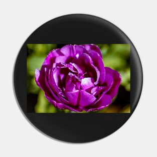 Beautiful purple tulip Pin