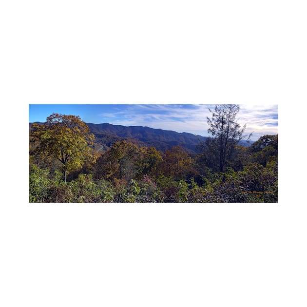 Blue Ridge Mountains Panorama by pdpress