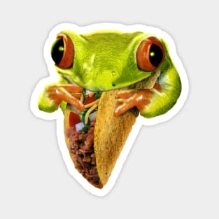 Taco Frog Magnet