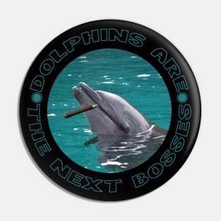 dolphins are the next bosses Pin