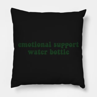 Emotional Support Water Bottle Pillow