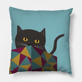 Cat Play Pillow