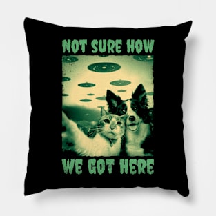 Cat and Dog T-Shirt Pillow