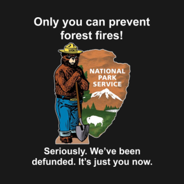 Only You Can Prevent Forest Fire! - ONLY YOU CAN PREVENT FOREST ...