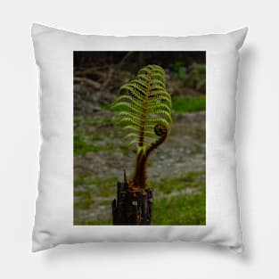 The Tree Fern Pillow