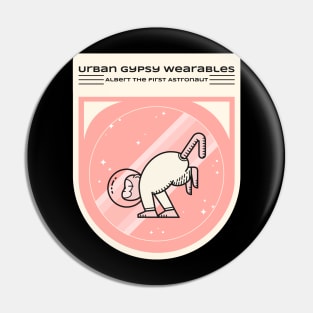 1.	Urban Gypsy Wearable – First Astronaut Pin