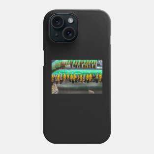 Colourful chrysalises Phone Case