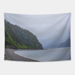 Alaska. Kenai Fjords National Park. Fox Island. Shore. Tapestry