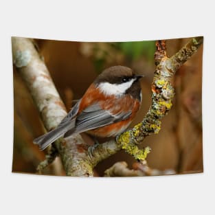 Chestnut-Backed Chickadee on the Cherry Tree Tapestry