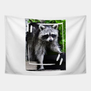 Cute Raccoon Tapestry