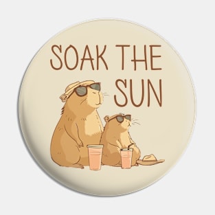 Sunbathing capybaras soak the sun Pin