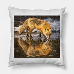 Red Fox in Water Pillow