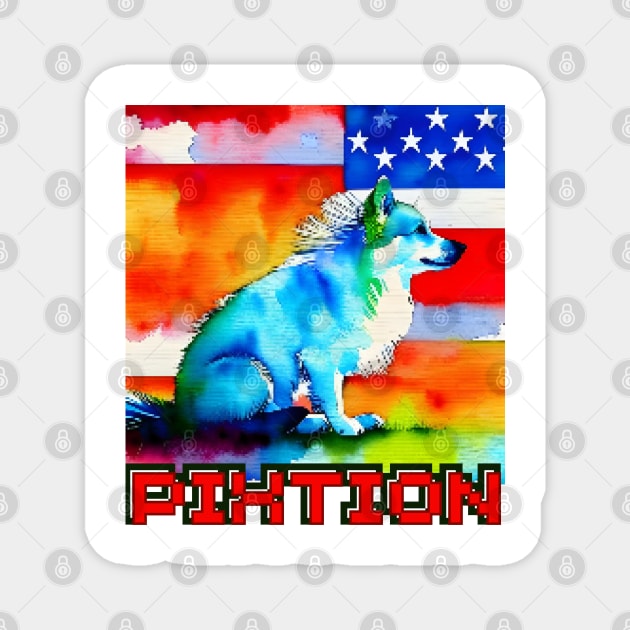 America Magnet by pixtion