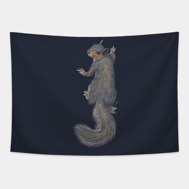 Gray Squirrel Tapestry by Walking in Nature