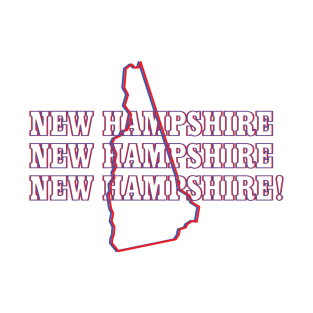 New Hampshire, New Hampshire, New Hampshire! T-Shirt