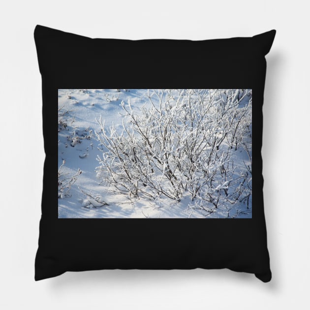 Hoarfrost on Arctic Willow Pillow by Carole-Anne