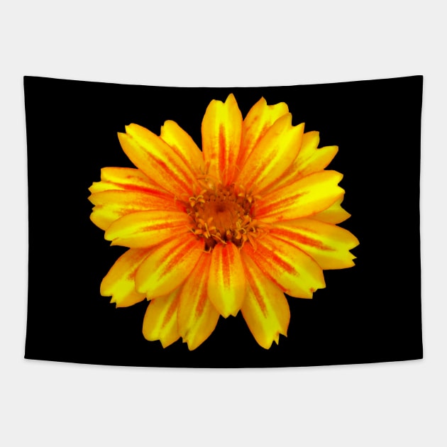 unique yellow red flower, bloom, flowers, petals Tapestry by rh_naturestyles