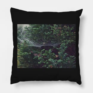 Spiderweb 3 Pillow