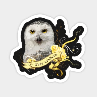 Snowy owl Magnet