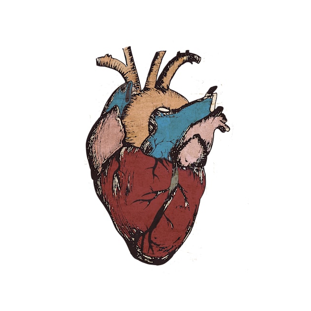 anatomic heART by MagDesign