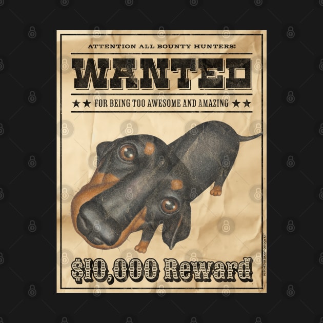 Funny Cute Doxie Dachshund Dog Wanted Poster by Danny Gordon Art