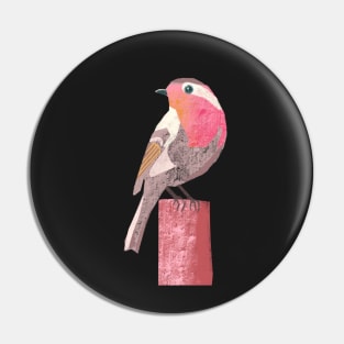 Robin illustration pink, yellow, red and grey colored bird Pin