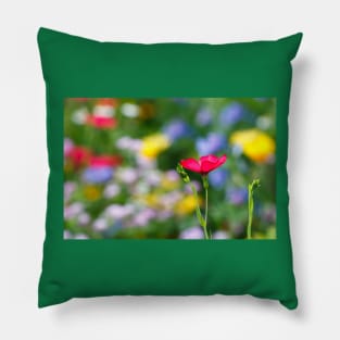 Red flower against colorful floral meadow Pillow