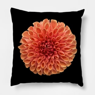 Pretty Dahlia Botanical Bee Flower Annual Garden Pillow