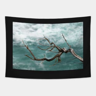 Bare, textured branch in front of green sea. Tapestry