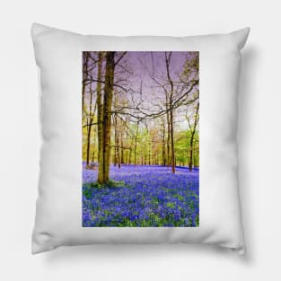 Bluebell Woods Greys Court England UK Pillow