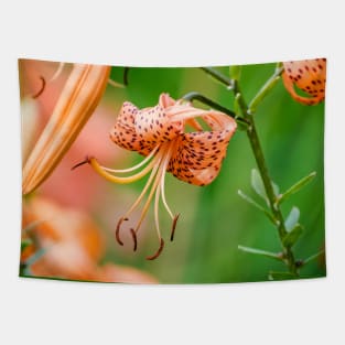 Amongst the Tiger Lilies Photograph Tapestry