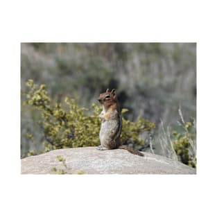 Chipmunk, wildlife, On the Lookout T-Shirt