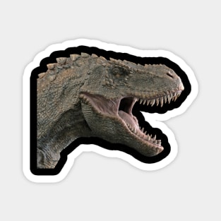 dinasour Magnet