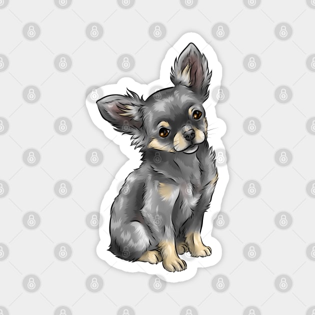 Long Haired Chihuahua | Blue and Tan | Cute Dog Art Magnet by Shirin Illustration